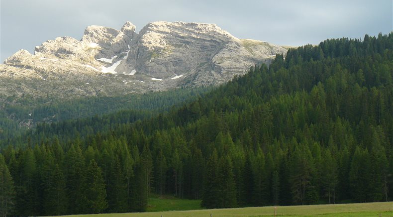 Foto estate