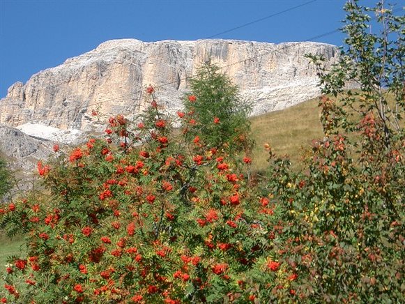 Foto estate