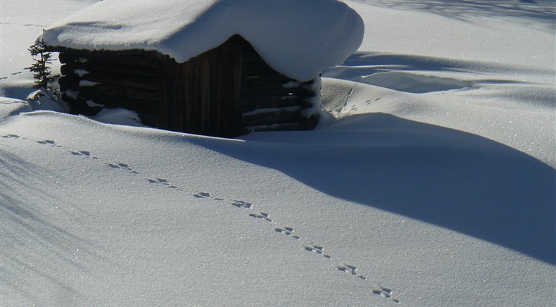 Foto inverno