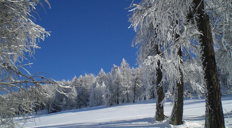 Foto inverno