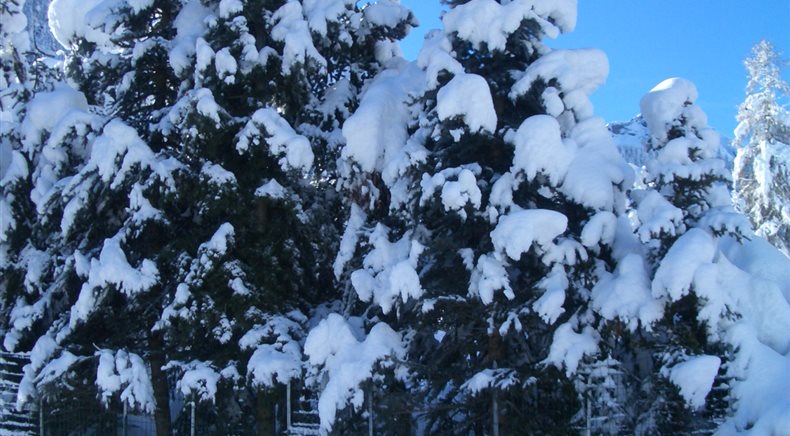 Foto inverno