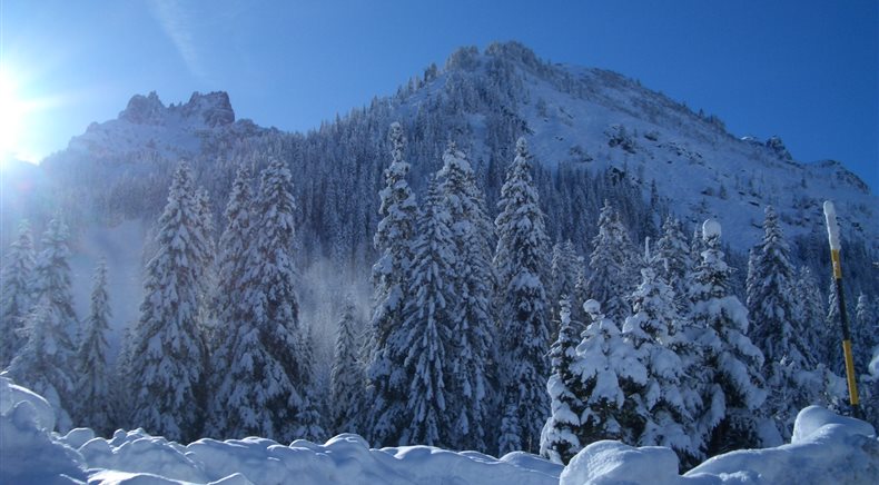 Foto inverno