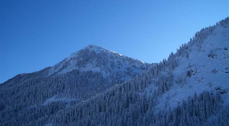 Foto inverno