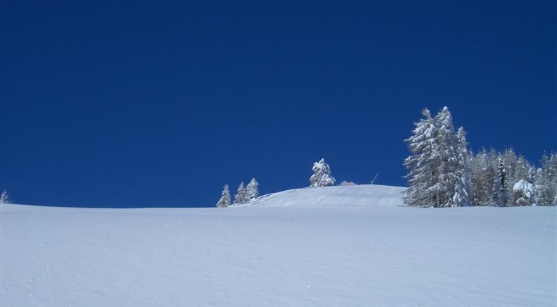 Foto inverno