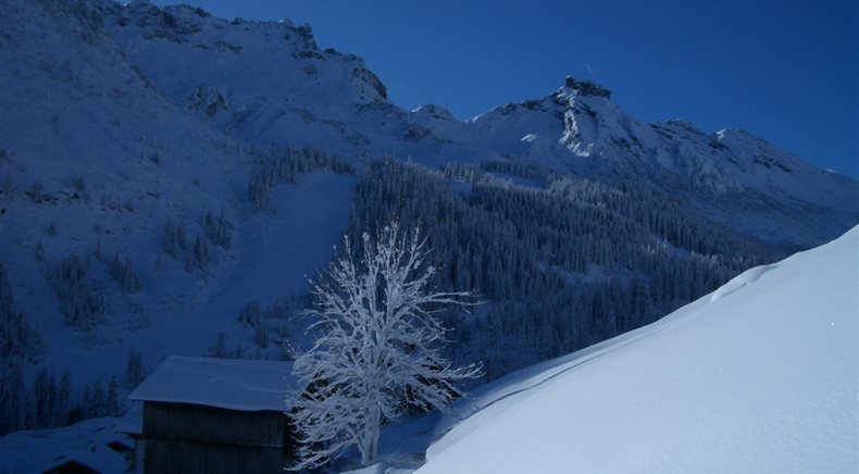 Foto inverno