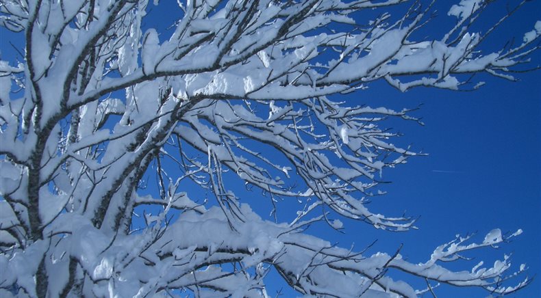 Foto inverno