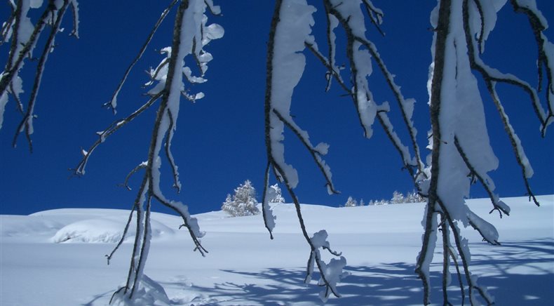 Foto inverno