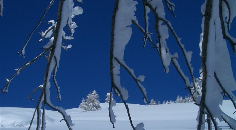 Foto inverno