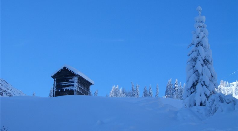 Foto inverno