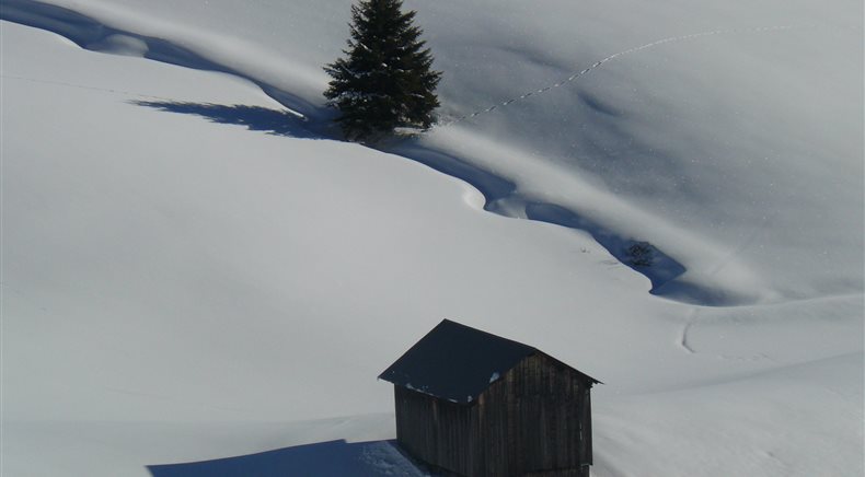 Foto inverno