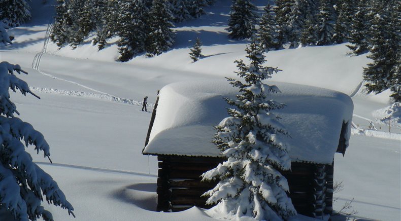 Foto inverno