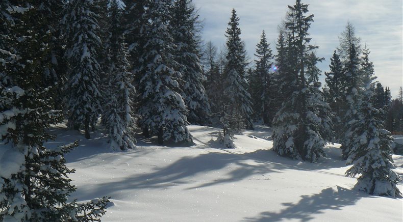 Foto inverno