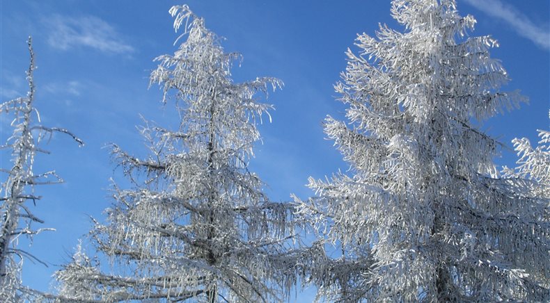 Foto inverno